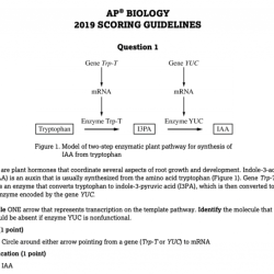 Unit 3 progress check frq ap biology