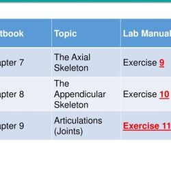 Review sheet the axial skeleton exercise 9