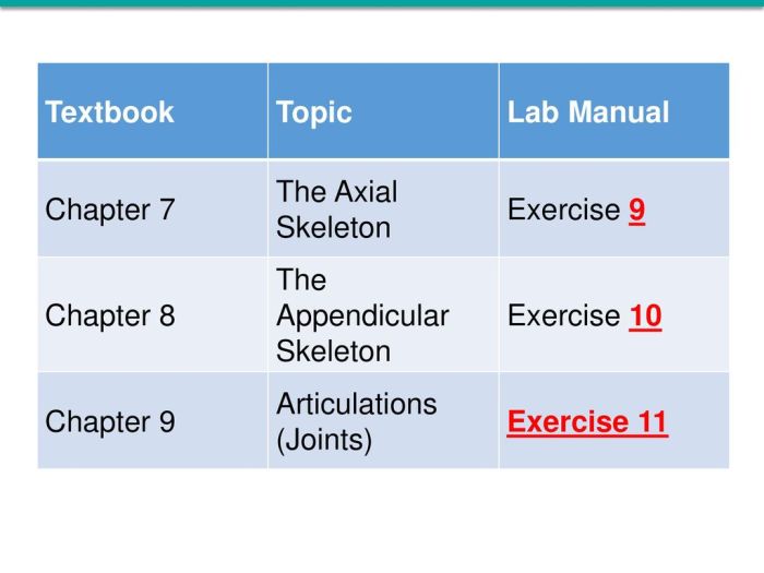 Review sheet the axial skeleton exercise 9